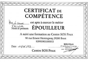 certificat-de-competence-epouilleur__